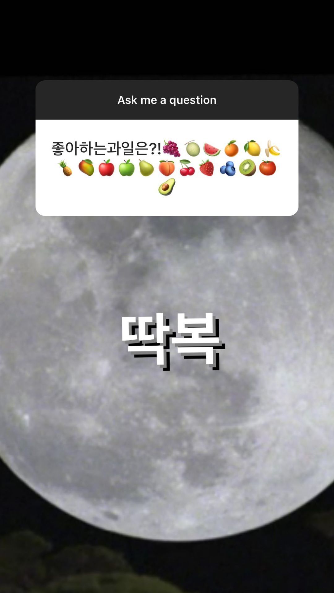 배우 정유미 취향과 tmi 가득한 인스타 무물보 답변 (스압) | 인스티즈