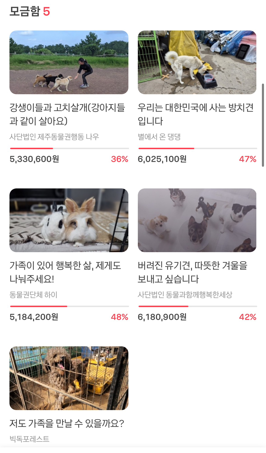 댓글 하나에 1000원이 유기동물에게 기부된다니 | 인스티즈