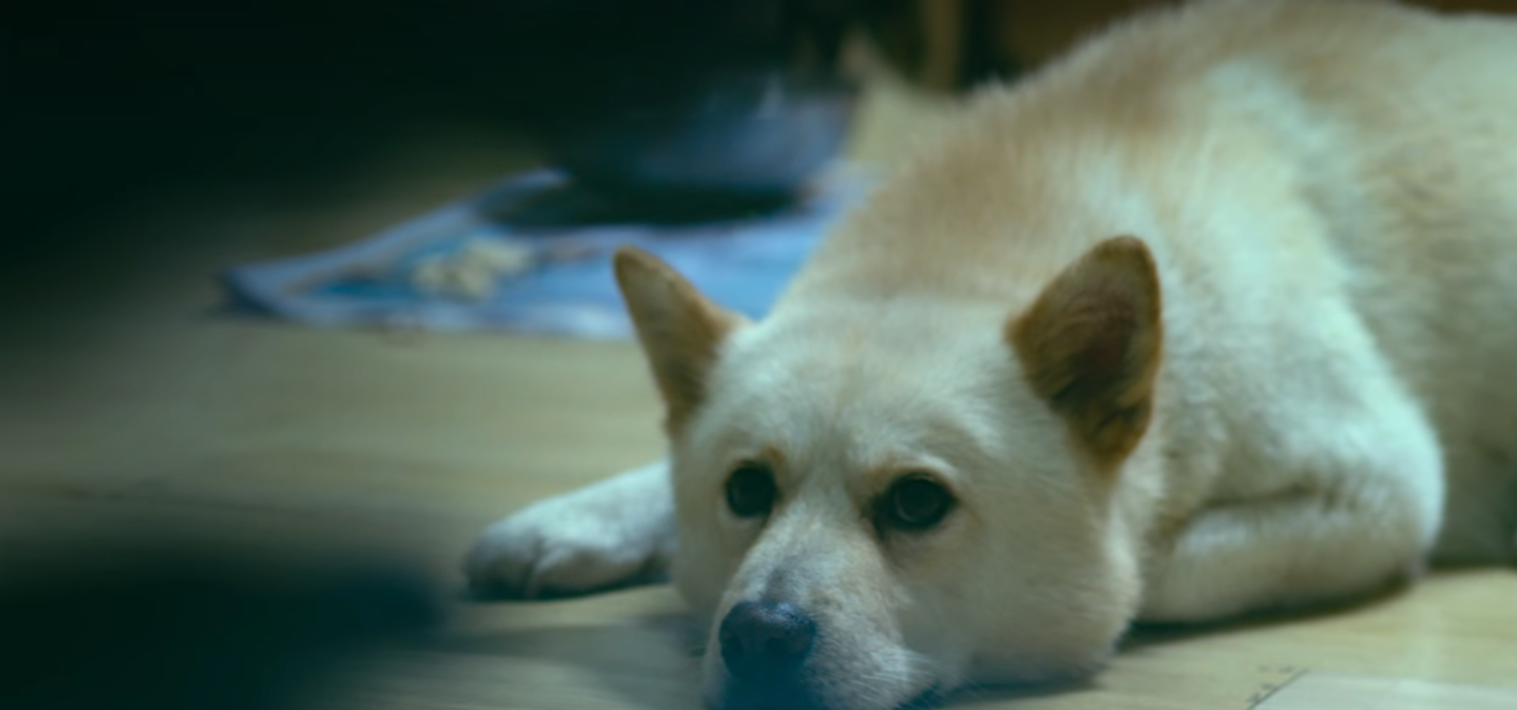 생각보다 더 적나라한 넷플릭스 유영철 다큐.jpg | 인스티즈