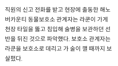 "출근했더니 가게가 엉망이에요”…위스키 마시고 실신한 난봉꾼 정체 | 인스티즈