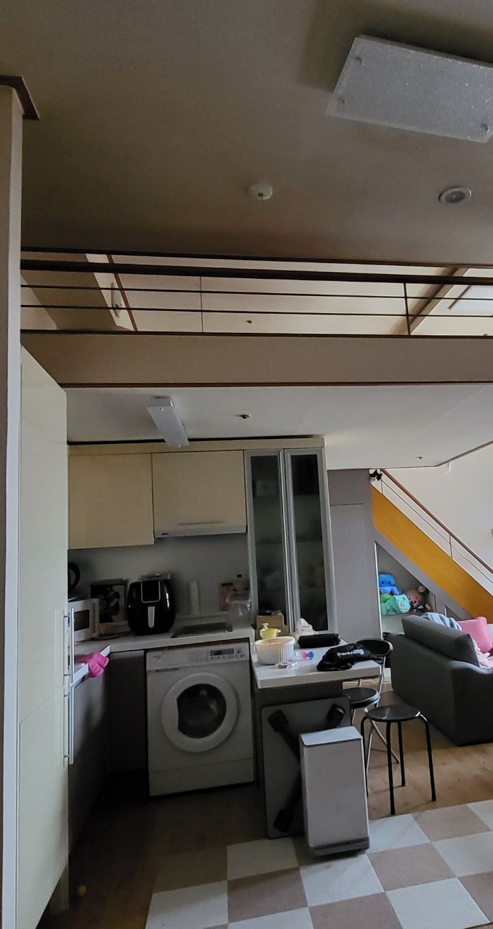 몰래 훔쳐보는 고양이 모음집 | 인스티즈