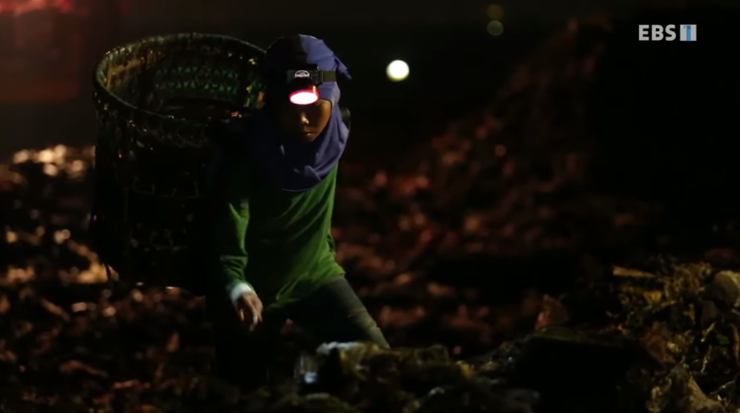 자극적 영상이 많아진 요즘, 안보면 후회하는 글 | 인스티즈