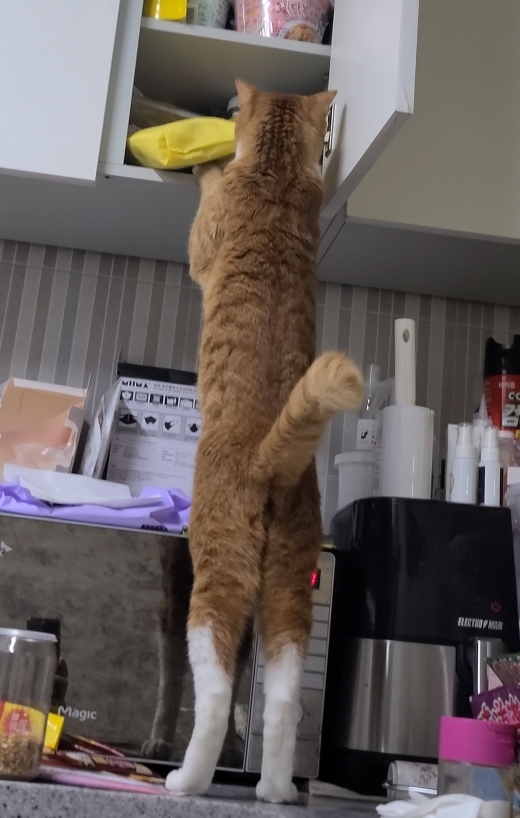 가... | 인스티즈