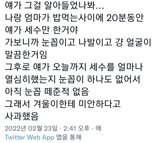 고양이는 사람 말을 알아듣는 거 같아 | 인스티즈