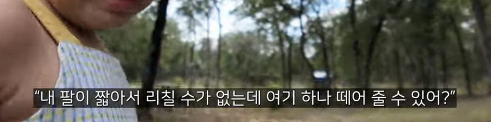 이중언어 (🇰🇷🇺🇸)로 키우면 겪는 현실적인 문제점 | 인스티즈