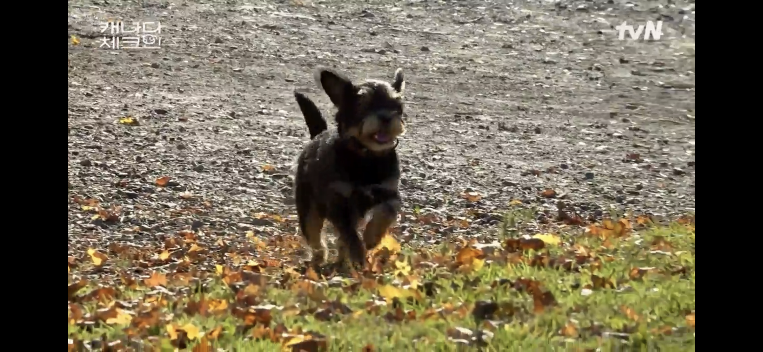 초조하게 누군가를 기다리는 이효리 | 인스티즈
