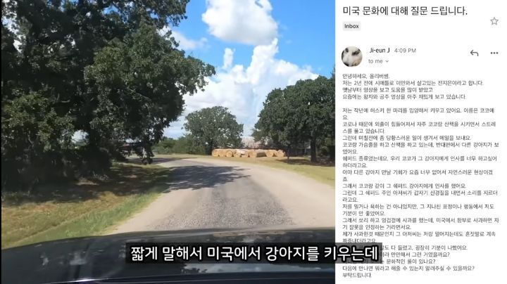 미국에서 강아지 산책 시키다 어느 한국인이 욕 먹은 이유 | 인스티즈