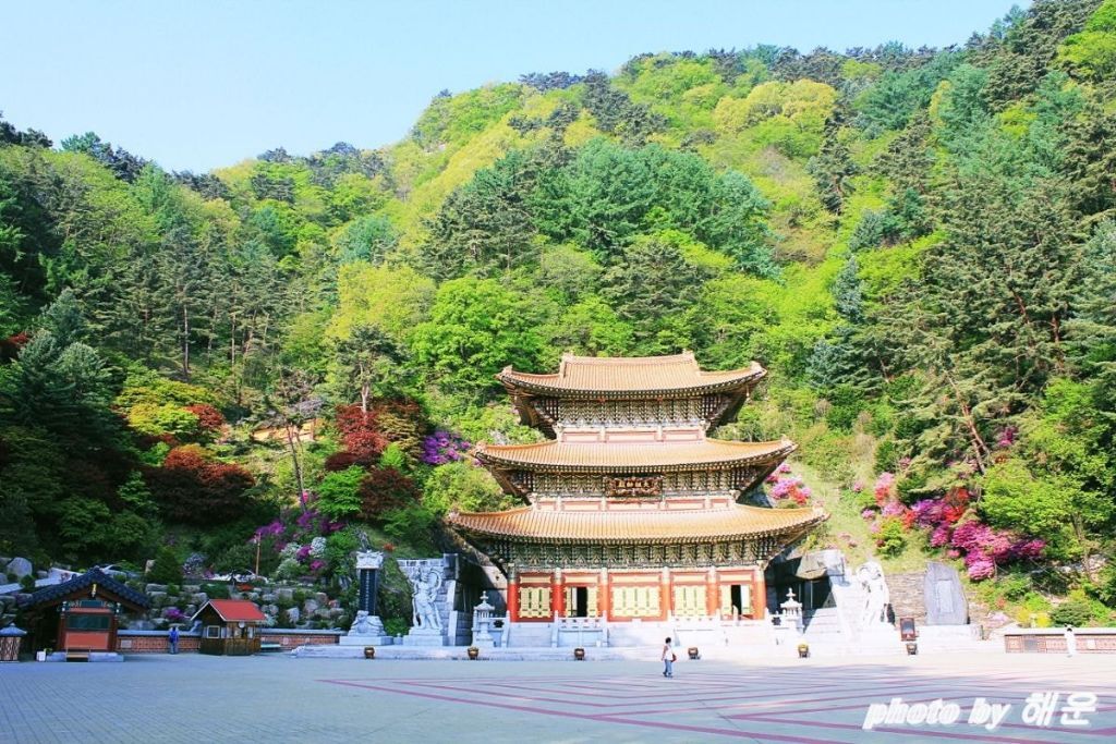 더쿠 - 한국에서 가장 큰 절.jpg