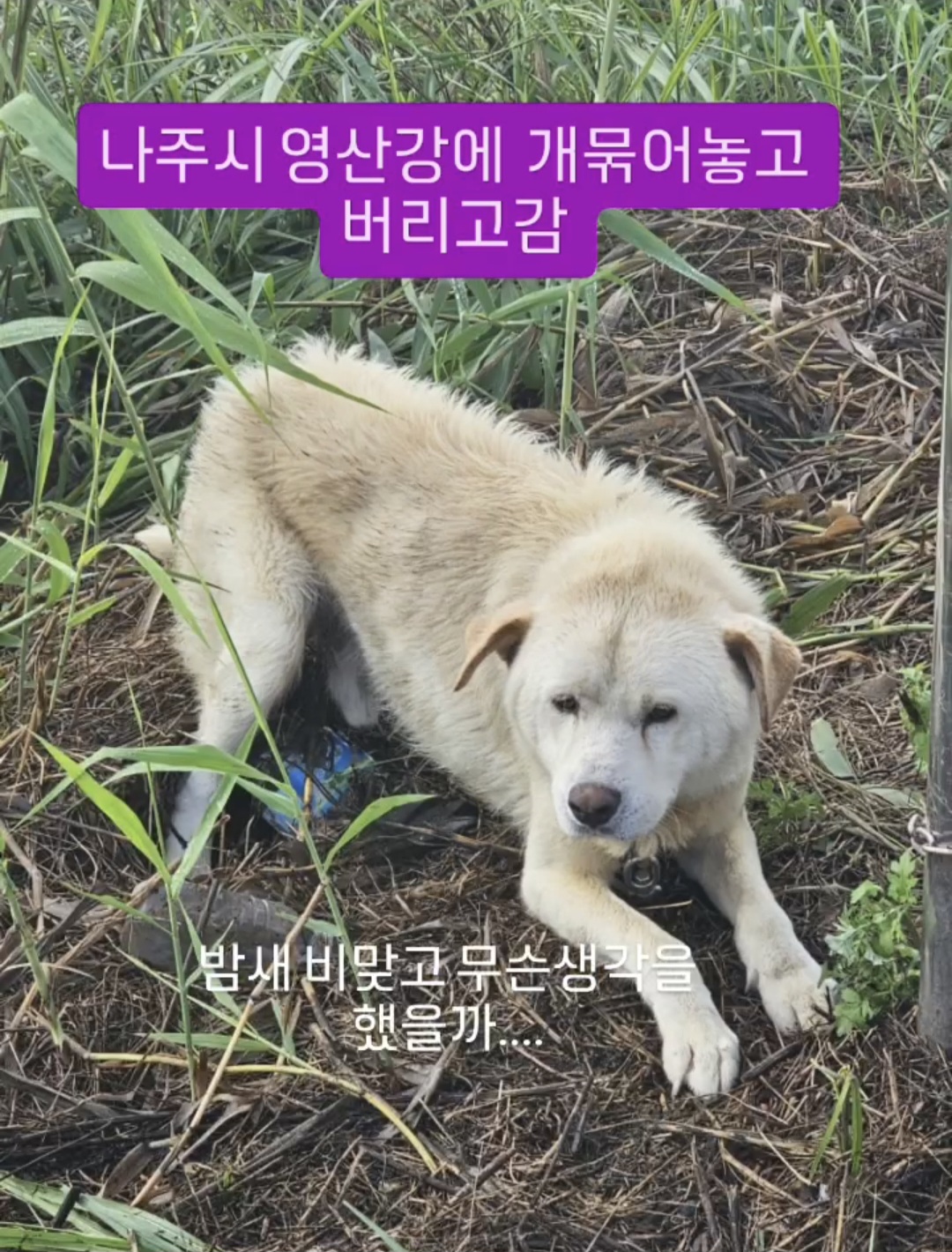 밤새 내리는 비를 맞으며 무슨 생각을 했을까 | 인스티즈