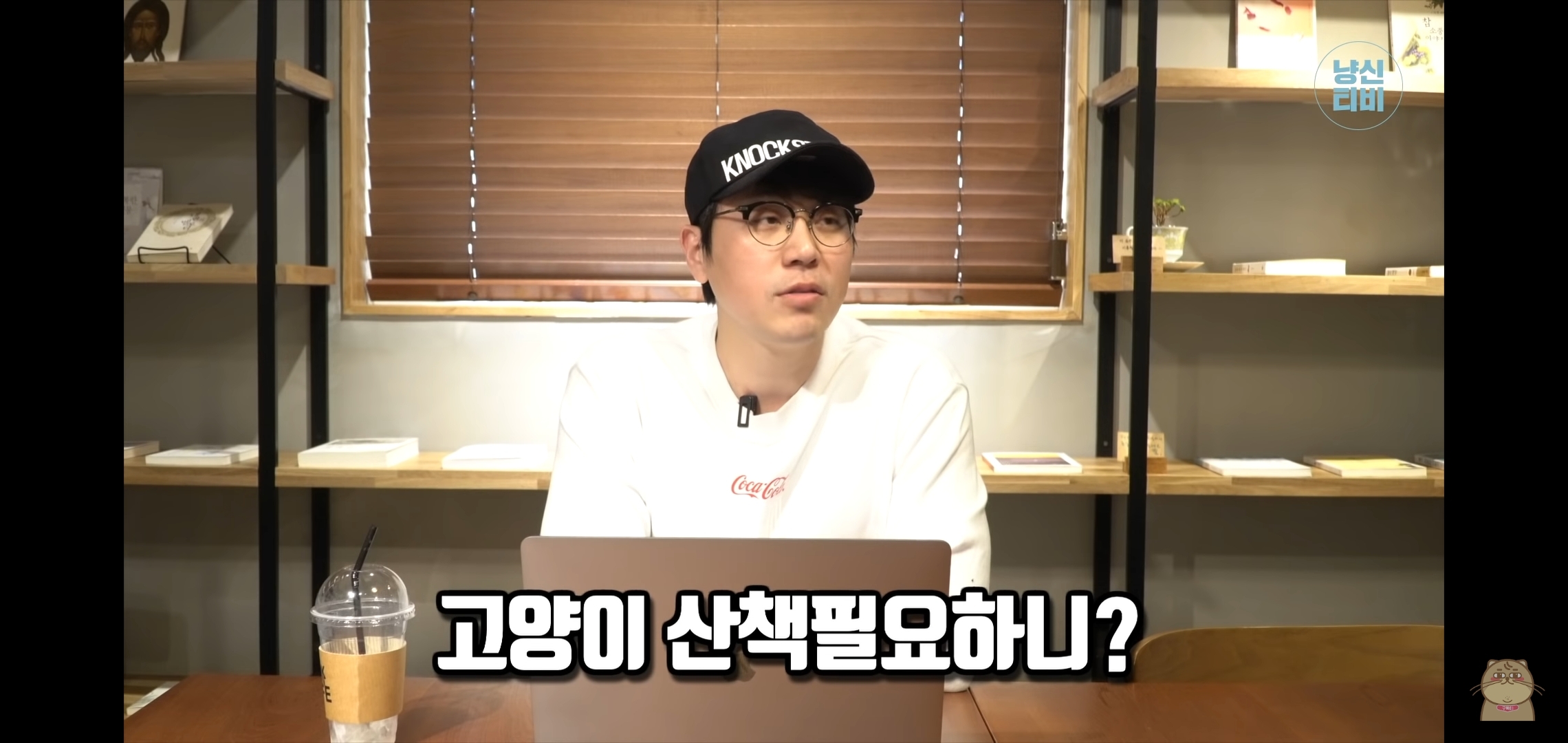 고양이 산책? 하지마!!!!! | 인스티즈