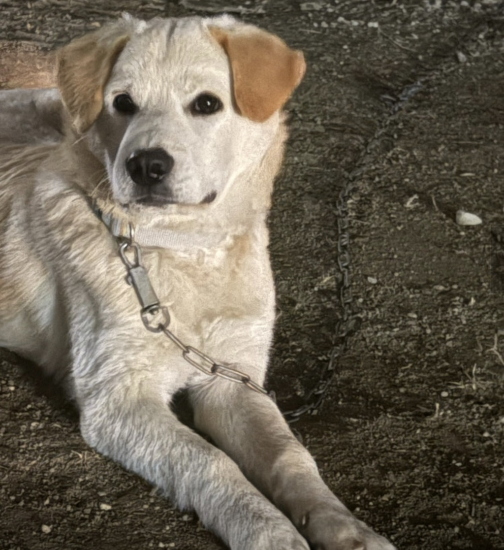 이사건 알아??정말 황당함ㅋㅋㅋㅋ | 인스티즈