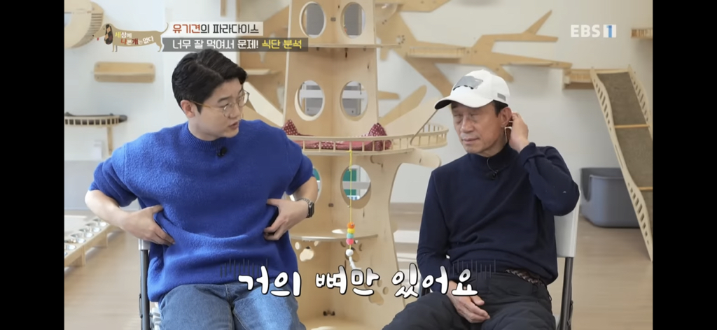 [세상에나쁜개는없다] 유기견의 파라다이스 | 인스티즈