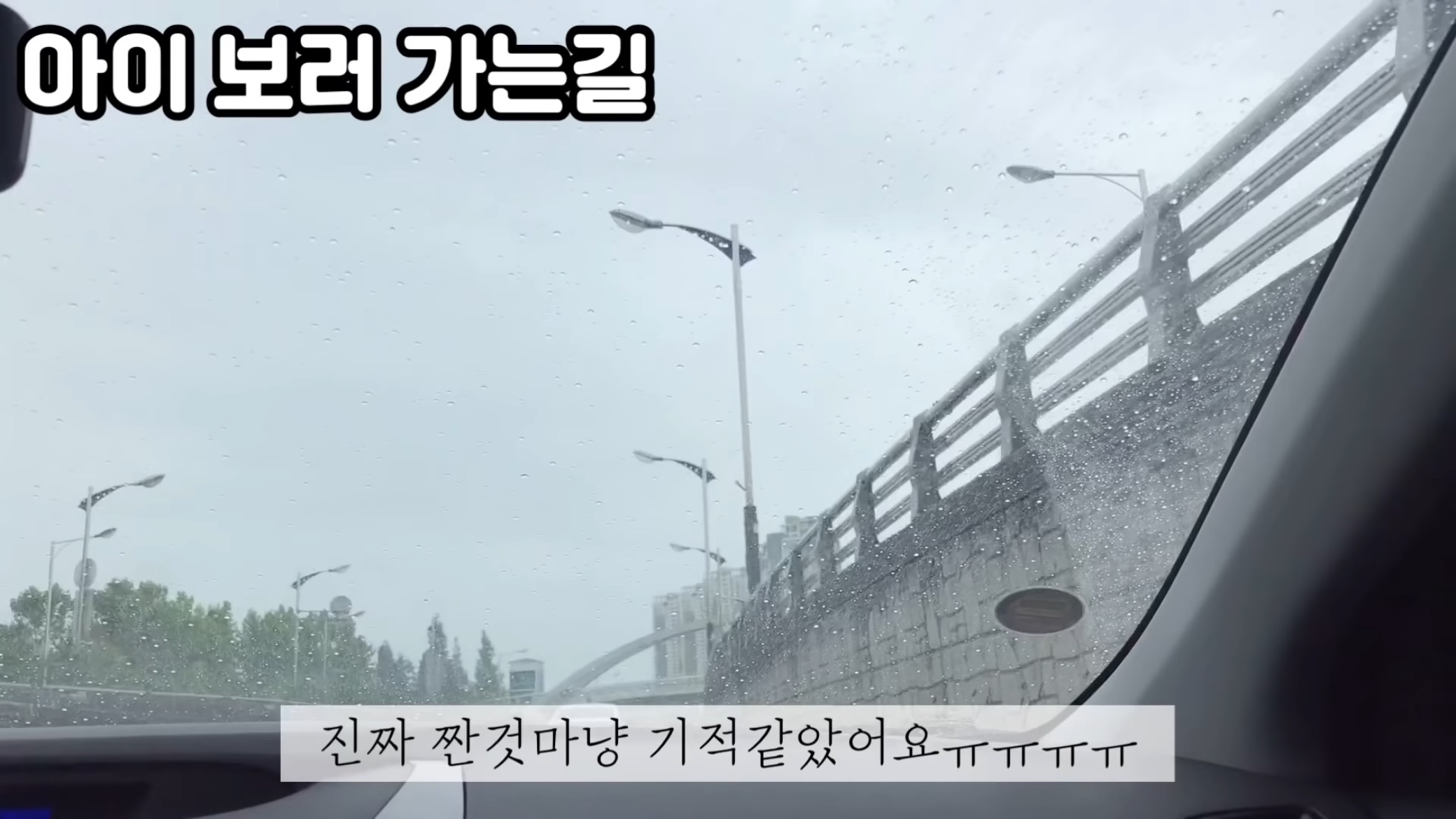 "공고번호 411번" 강아지가 입양되기 전 후 모습.jpgif | 인스티즈