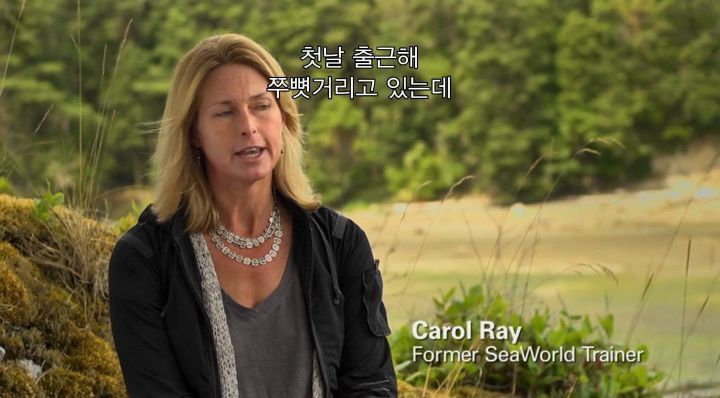 어느날 소방서에 고래가 조련사를 잡아 먹었다는 신고가 들어왔다 .jpg (스압주의) | 인스티즈