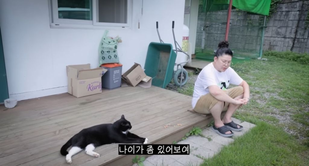 신발 물어 뜯은 고양이 찾아간 이영자 | 인스티즈