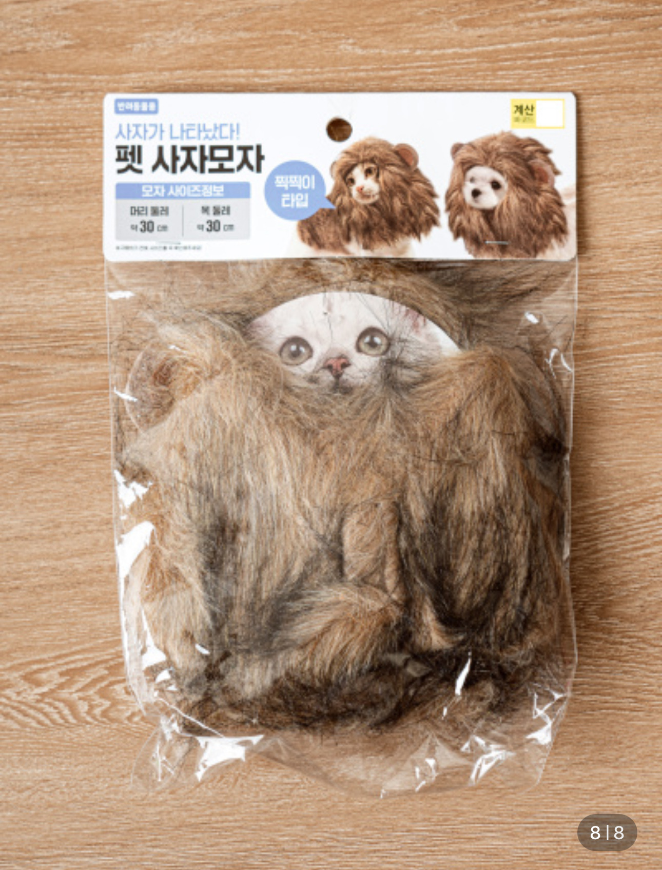다이소 신상 사자모자 | 인스티즈