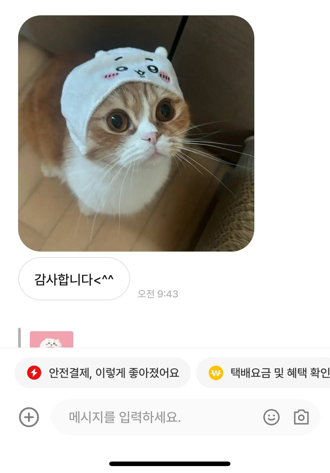 중고거래 구매자가 자꾸 이모티콘을 보내서 무서웠는데 알고 보니 고양이였음.twt (귀여우니까 보고 힐링해) | 인스티즈