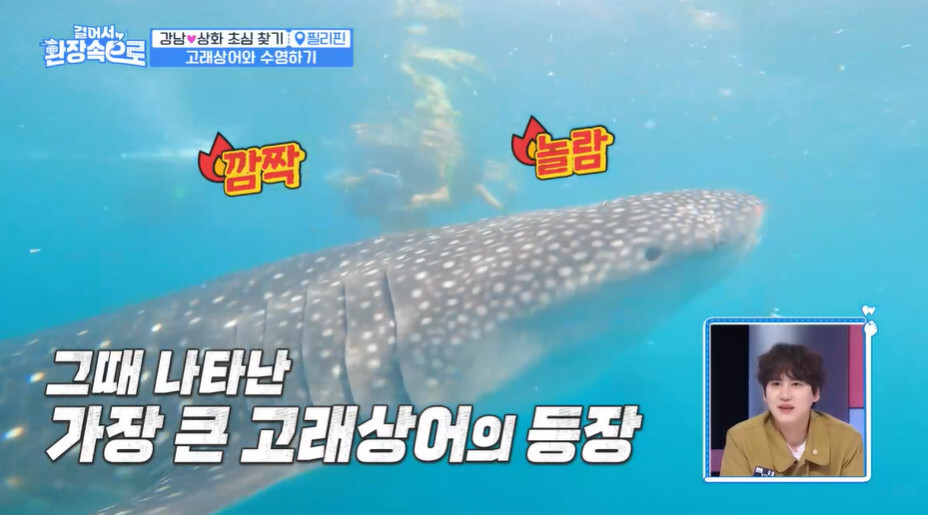 이상화가 직업병으로 인해 도전을 두려워하는 이유 | 인스티즈