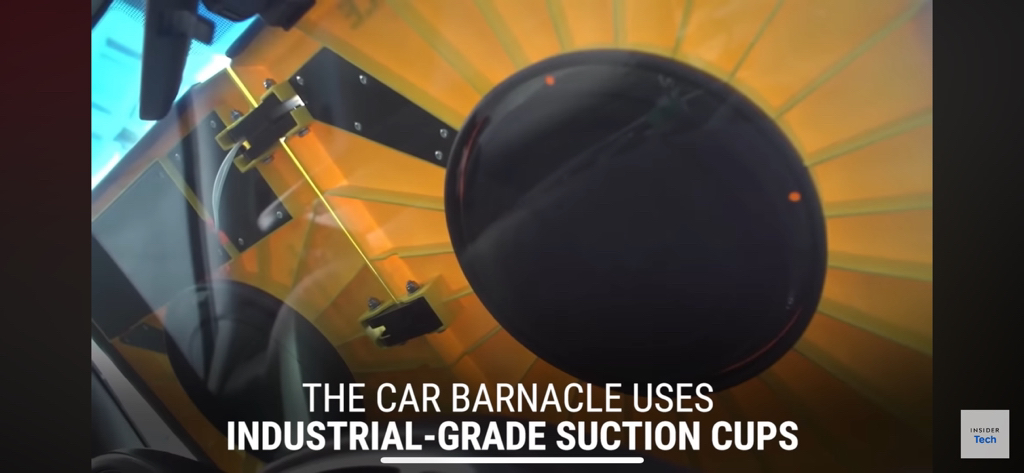 불법주차 했는데 차에 따개비가 붙었어요 | 인스티즈