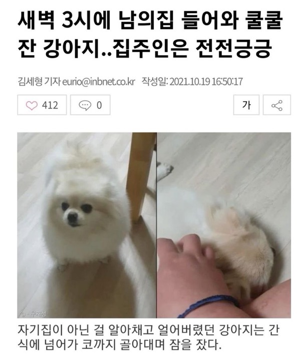 수달은 새끼를 낳으면 이곳저곳 돌아다니며 자랑하는 습성이 있습니다 | 인스티즈