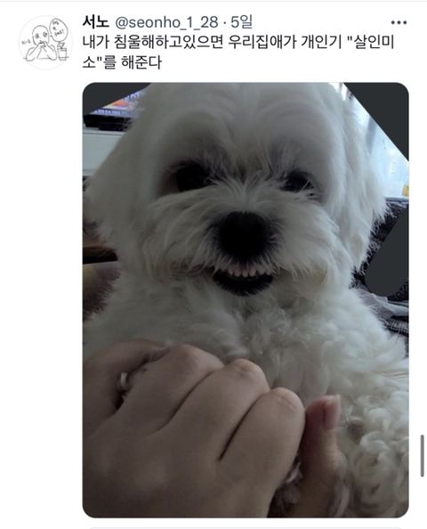 내가 침울해 하고 있으면 -가 -해준다 .twt | 인스티즈