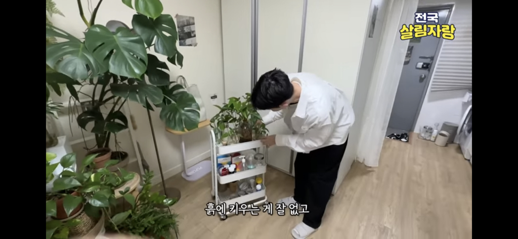 저비용 고효율로 행복해질 수 있는 집꾸미기 팁 | 인스티즈