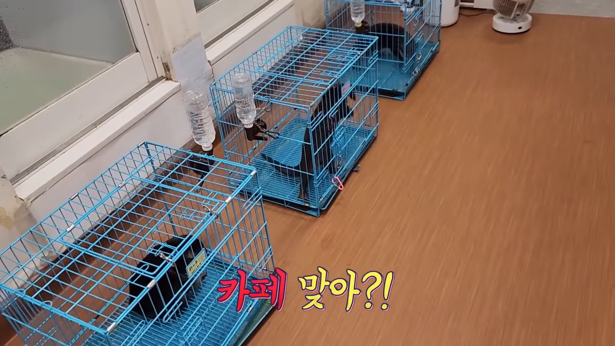 카페다름 이미지