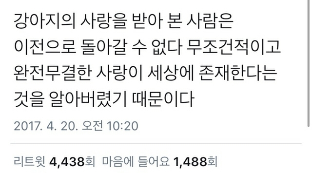 사랑이라고 생각하는 짤 올려보는 달글 | 인스티즈