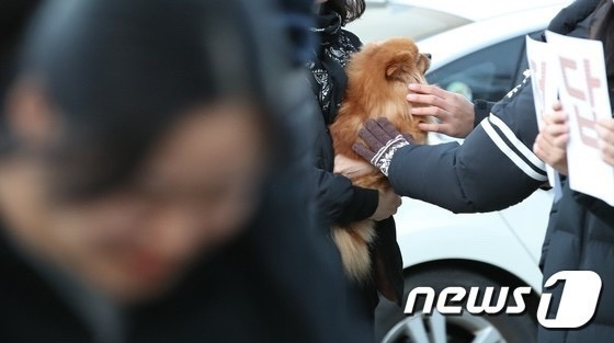 언니, 수능 잘보구와 | 인스티즈