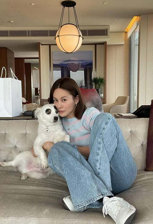 펫샵 NO! 유기견 입양한 연예인들 | 인스티즈