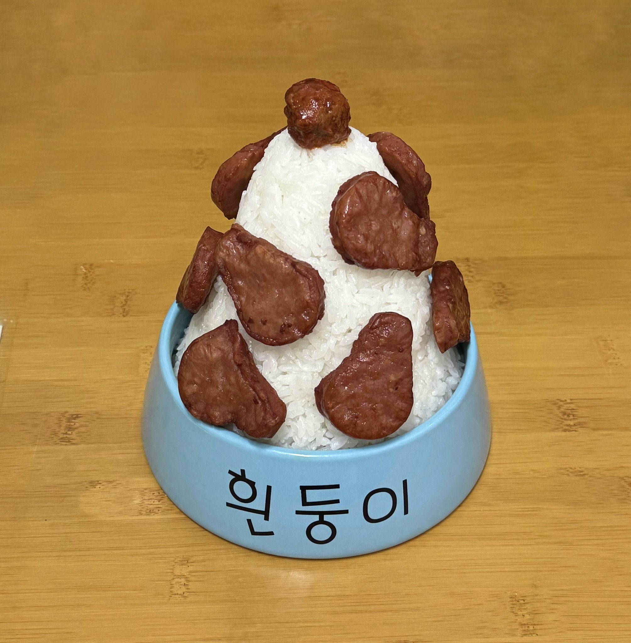 흰둥이 밥그릇에 밥먹는 사람 | 인스티즈