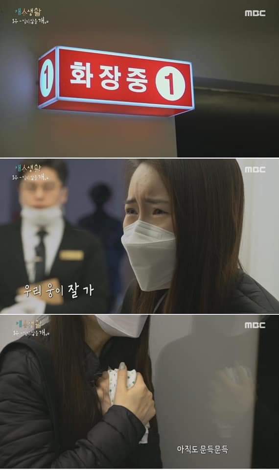 무지개 다리를 건넌다는 것 | 인스티즈