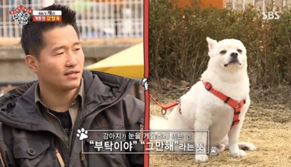 노래 부를 때마다 저러길래 감상하는 줄 알았지.twt | 인스티즈