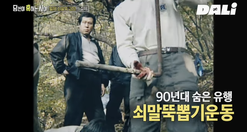 율곡이이, 이순신, 세종대왕 집안 묘소에 130kg 넘는 쇠말뚝과 식칼이 박혀 충격 | 인스티즈