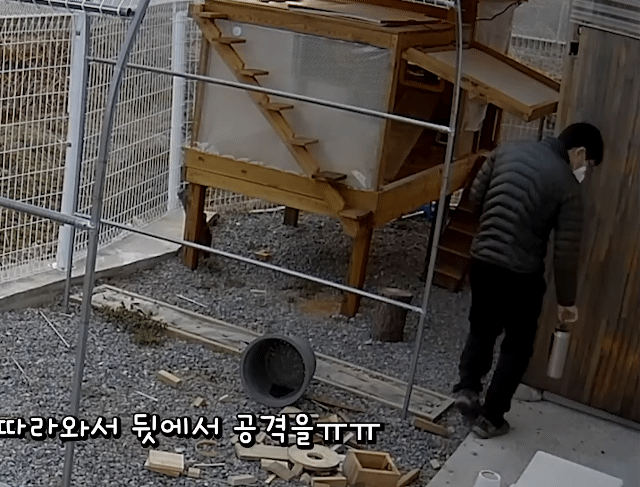 매맞는 삶을 살고있는 매탈남 근황 | 인스티즈