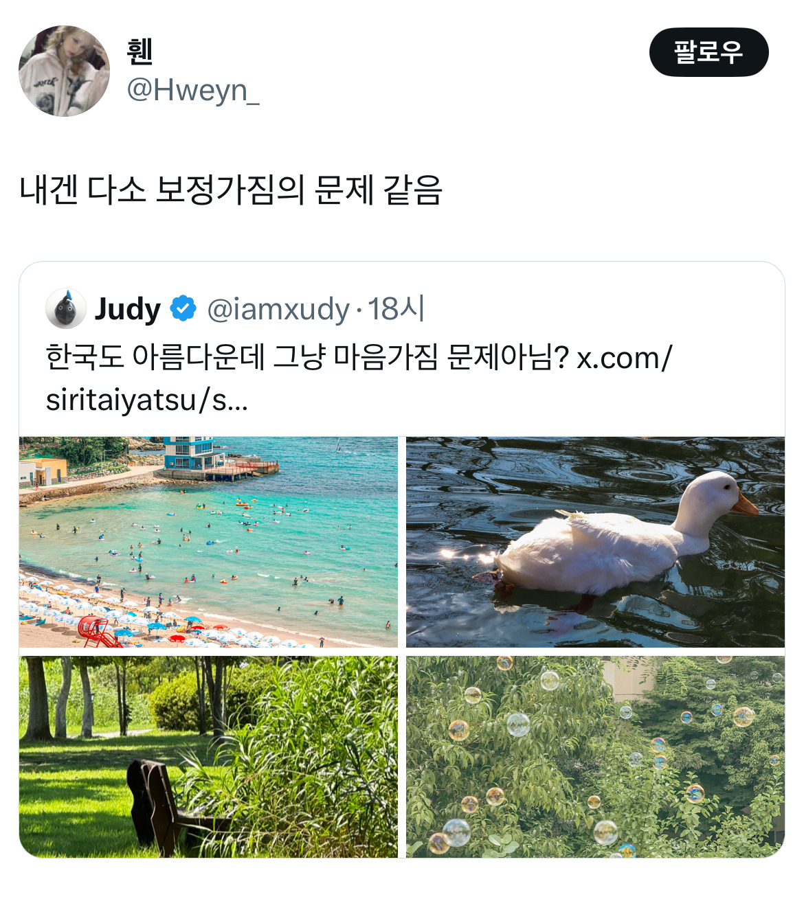 같은 인간으로 태어났는데 누구는 이런풍경 보면서 살아가고 누구는 메가커피컴포즈파리바게트휴대폰제일싼곳탕후루탕화쿵푸.twt | 인스티즈