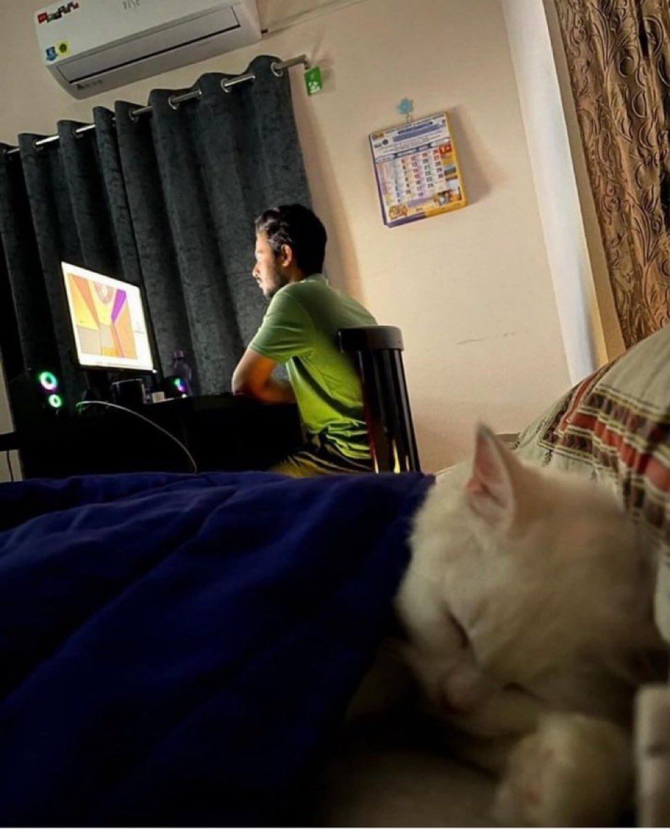 와 ㄹㅇ 저거 기분 개좋음 대체 무슨 원리지 원시시대때 불침번 서는 사람이 있어야 편안하게 잠들던 dna가 남아있나.twt | 인스티즈