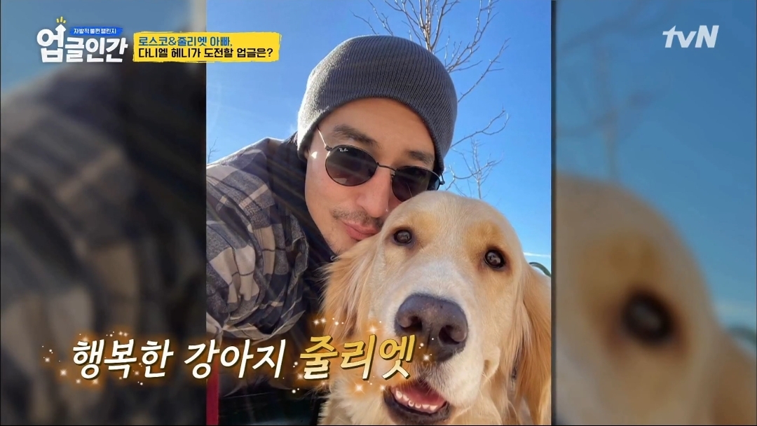 식용견 농장에서 구출된 다니엘 헤니의 강아지 로스코, 줄리엣 | 인스티즈