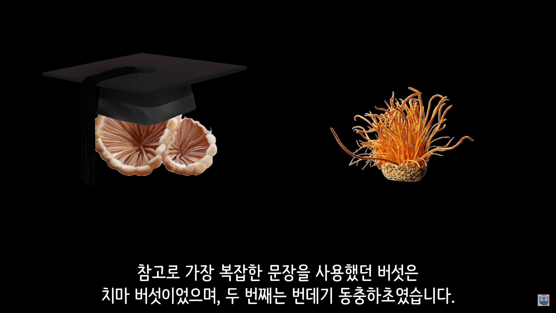 버섯이 단어와 문장을 사용해 서로 대화하고 있을지도 모른다고? | 인스티즈