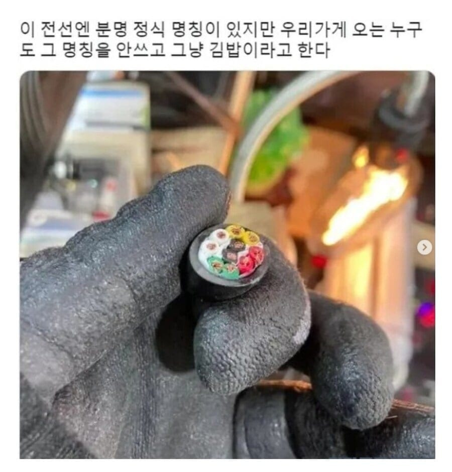 김밥이 아니지만 모두가 김밥으로 부른다 | 인스티즈
