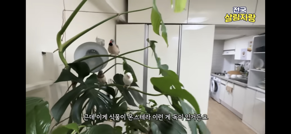 저비용 고효율로 행복해질 수 있는 집꾸미기 팁 | 인스티즈