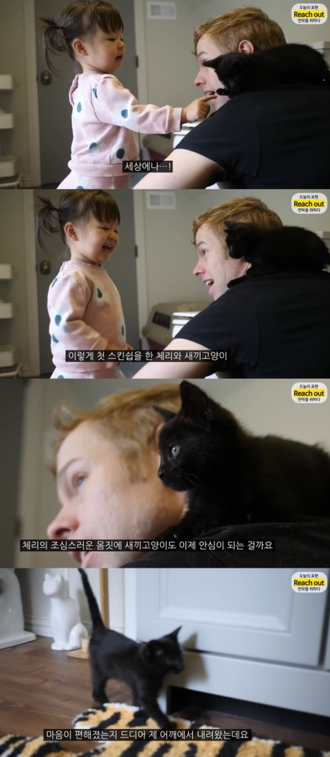 체리한테 동물은 어떻게 대해야 하는지 잘 알려준 것 같은 유투버 올리버쌤 | 인스티즈