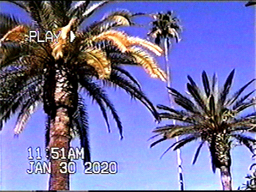 요즘 다시 유행하는 레트로 캠코더.gif | 인스티즈