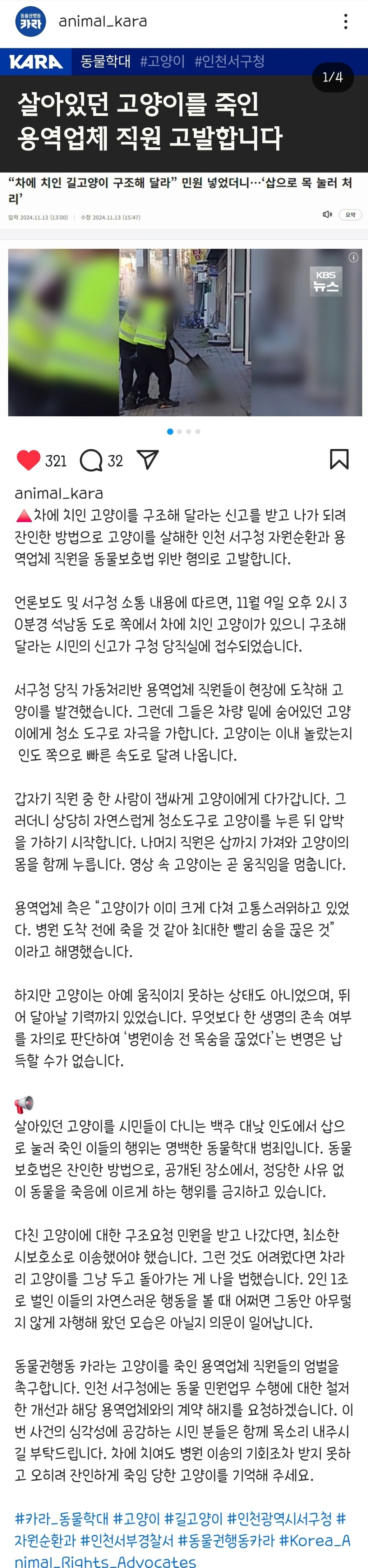 차에 치인 고양이 민원 넣었더니 죽인 용역업체 | 인스티즈