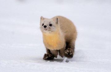 아주 아주 짧은 트윗모음.twt | 인스티즈