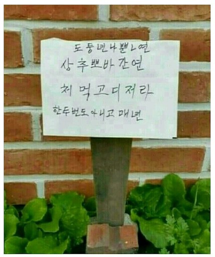 9d07cec145433f06cb344663ef0e63be4bd980ec