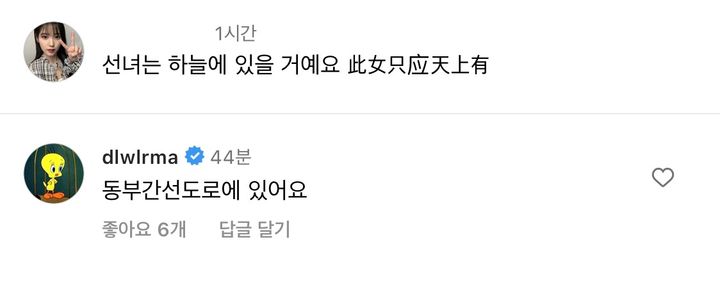 아이유가 인스타에 달고 있는 댓글 | 인스티즈