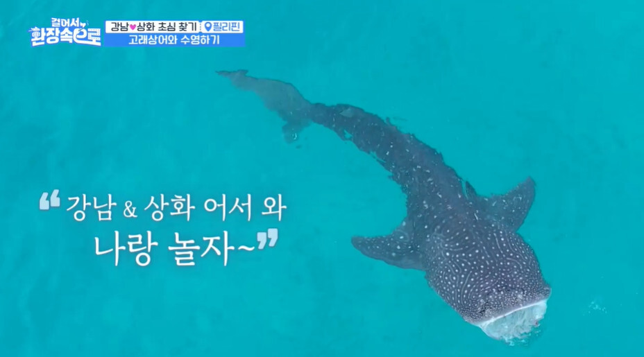 이상화가 직업병으로 인해 도전을 두려워하는 이유 | 인스티즈