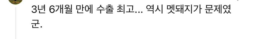 관세 터졌는데 수출 '대호조'..미국에 덜 팔았는데 왜? [뉴스.Zip/MBC뉴스] | 인스티즈