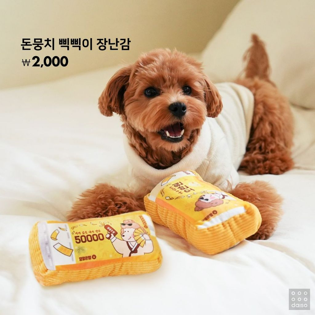 다이소 강아지용품 9월 신상 출시.jpg (노즈워크 매트가 단돈 5,000원) | 인스티즈